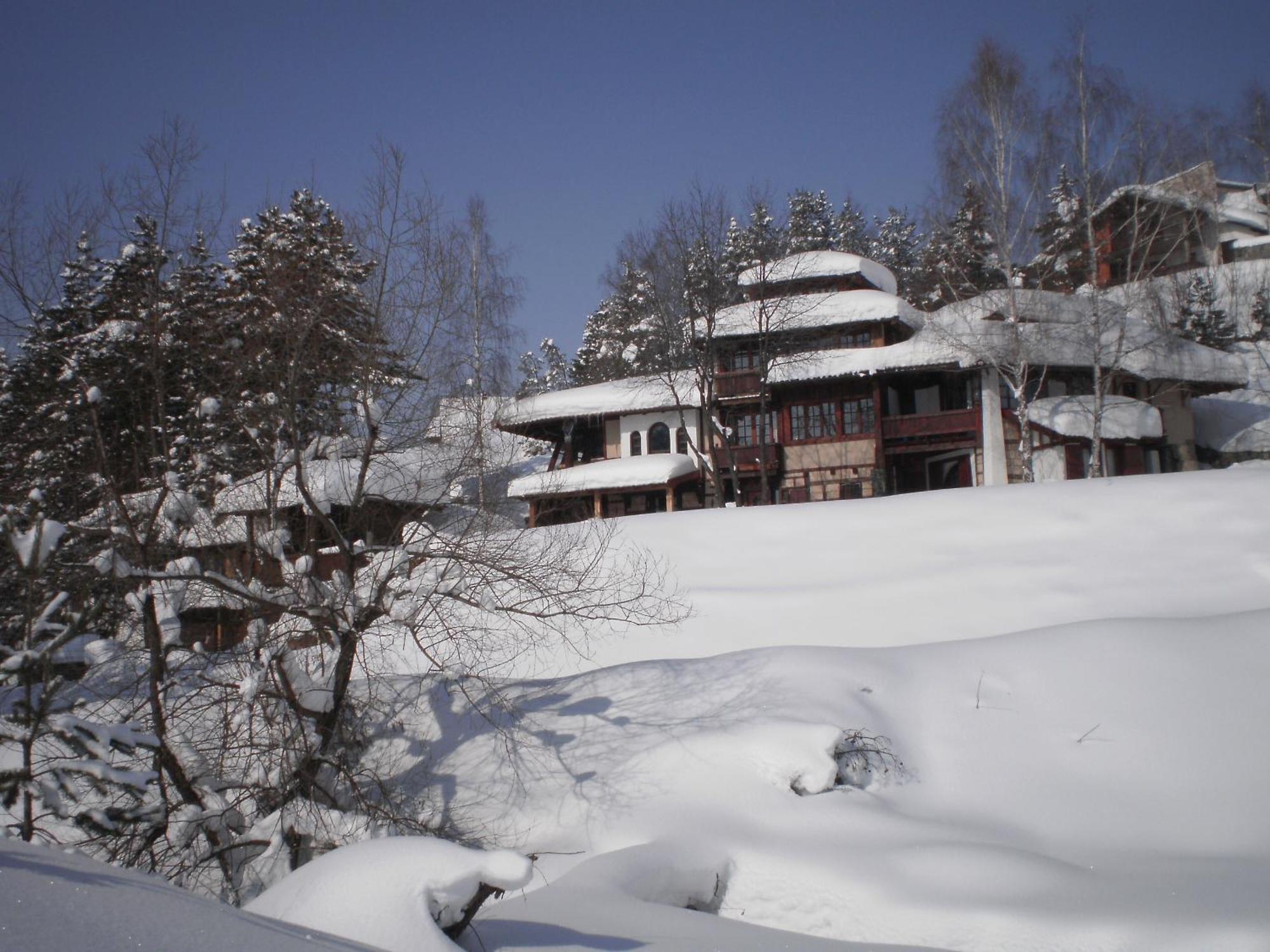 Apartments Carevo Polje Zlatibor Esterno foto