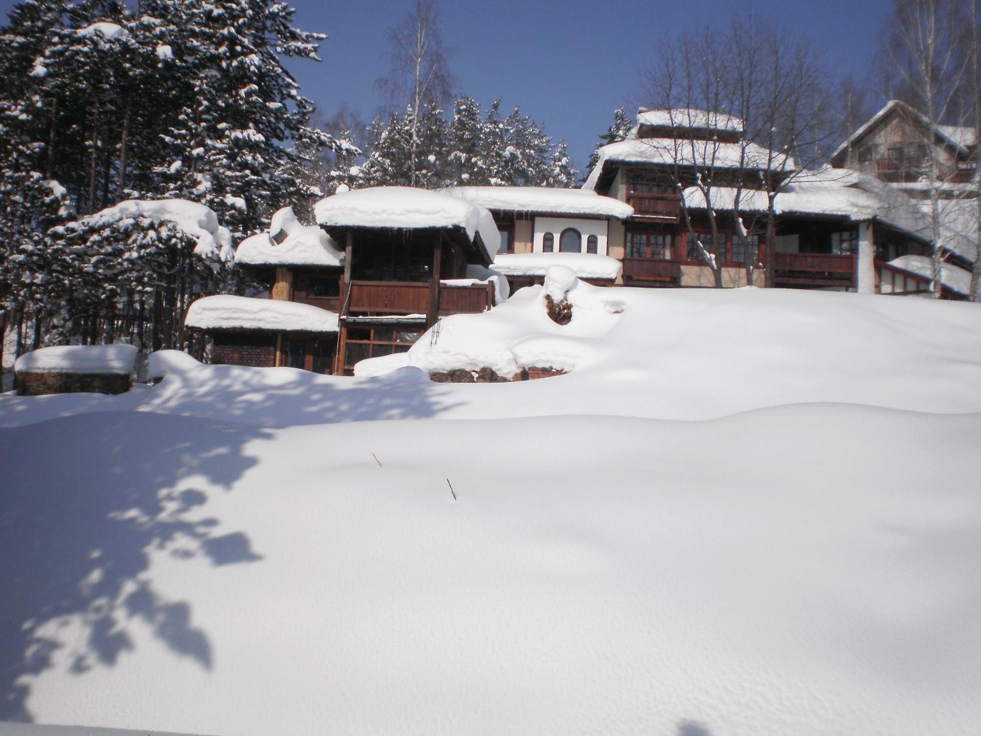 Apartments Carevo Polje Zlatibor Esterno foto